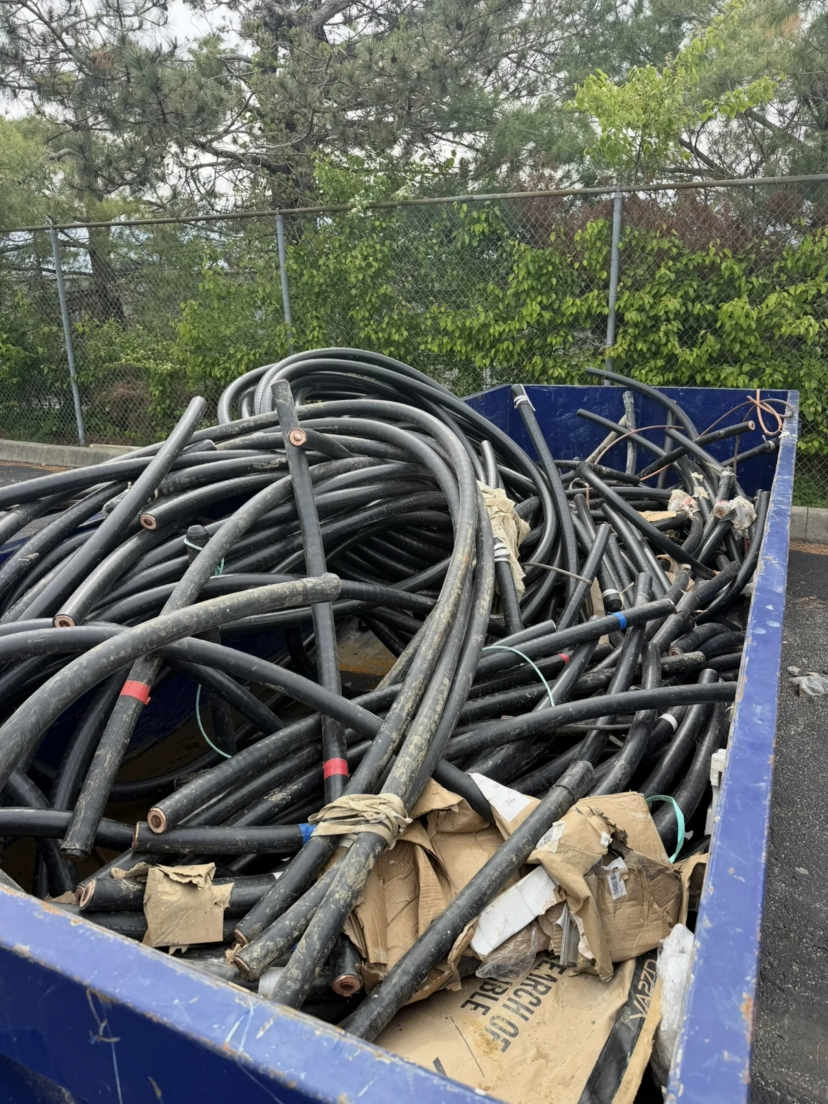 Heavy insulated electrical cable collected in a blue recovery container.